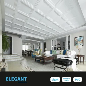 Stretch Ceiling